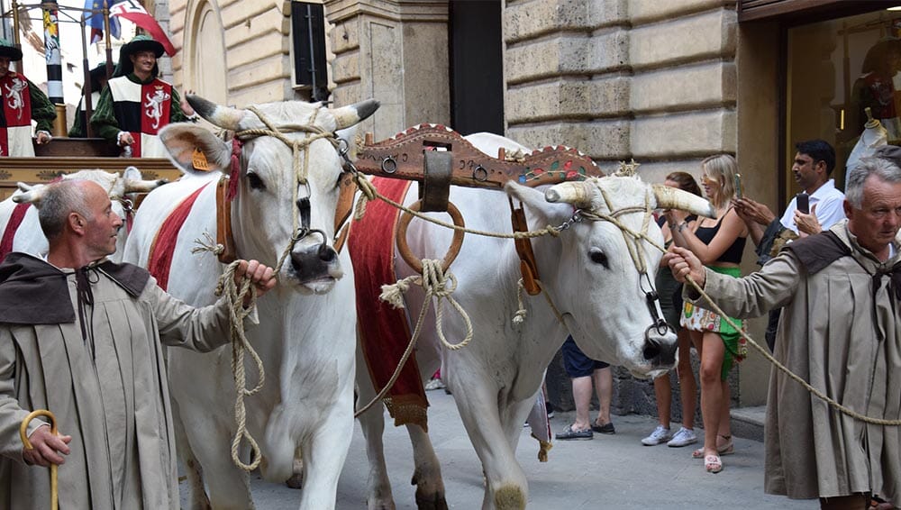 Palio di Siena parade