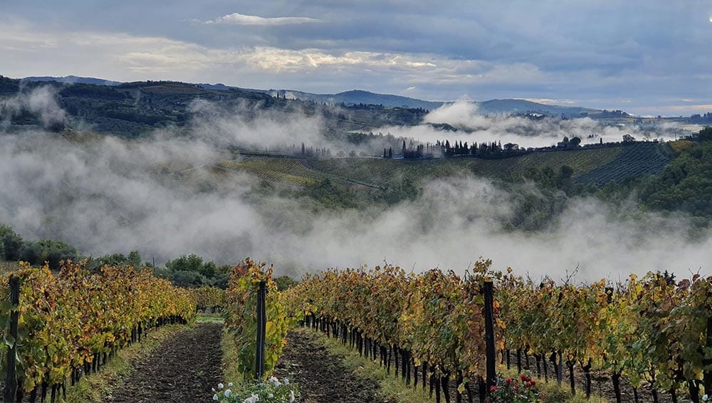 chianti-classico-siena-tuscany-italy